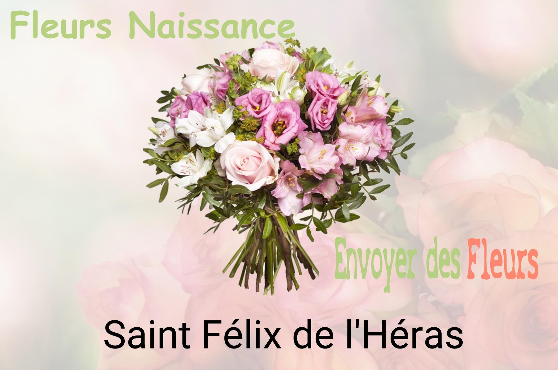 Bouquet de fleurs de naissance livré à Saint-Félix-de-l'Héras